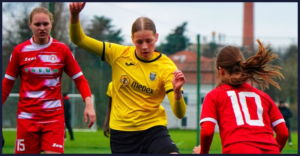 ŽNK, Radomlje, Aluminij