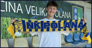 Polana / Alen Vertačnik