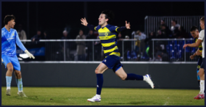 Nikola Jovičević, Brinje Grosuplje