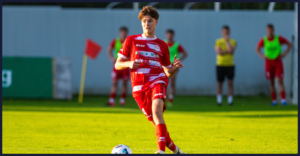 Rok Schaubach, Aluminij