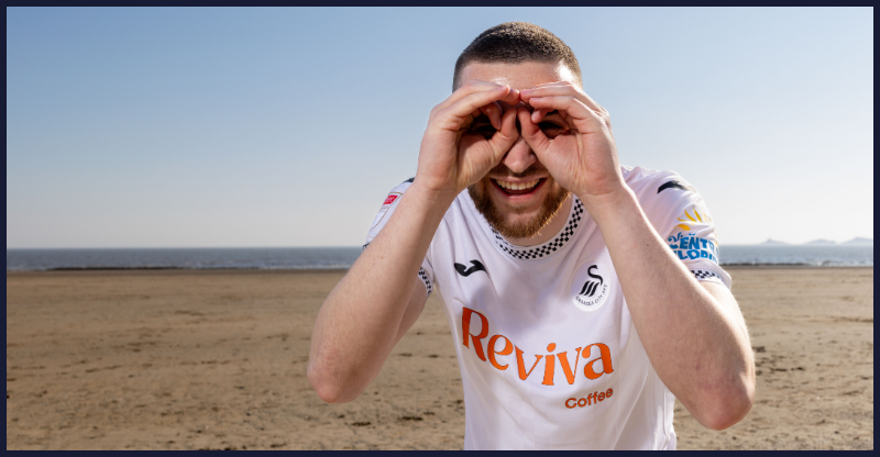 Žan Vipotnik, Swansea