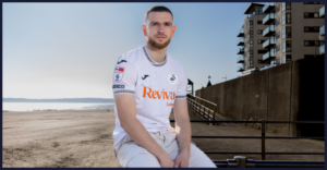 Žan Vipotnik, Swansea