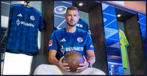 Džeko, Schalke