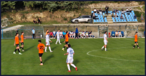 jadran brezice